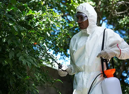 Pest Control Bakersfield CA