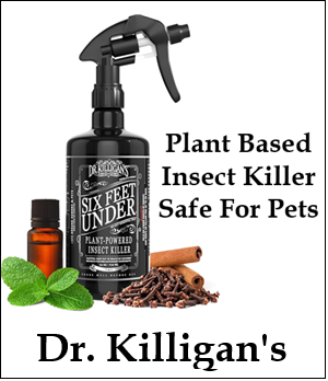 Dr Killigans Pest Control